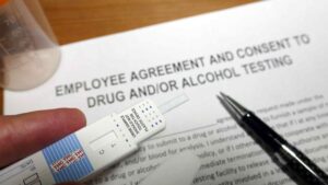 drug testing background checks